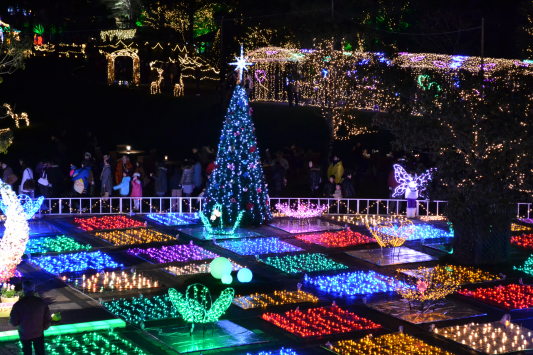 �t���[�����e�Q�O�P�O