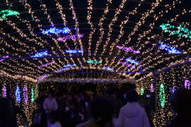 �t���[�����e�Q�O�P�O