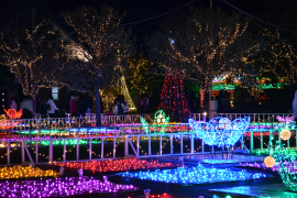 �t���[�����e�Q�O�P�O