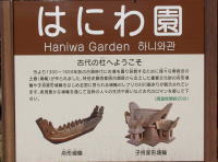 ���a������@�͂ɂ퉀����